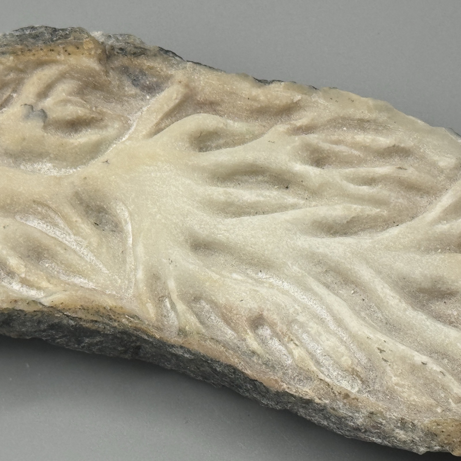 Aorta