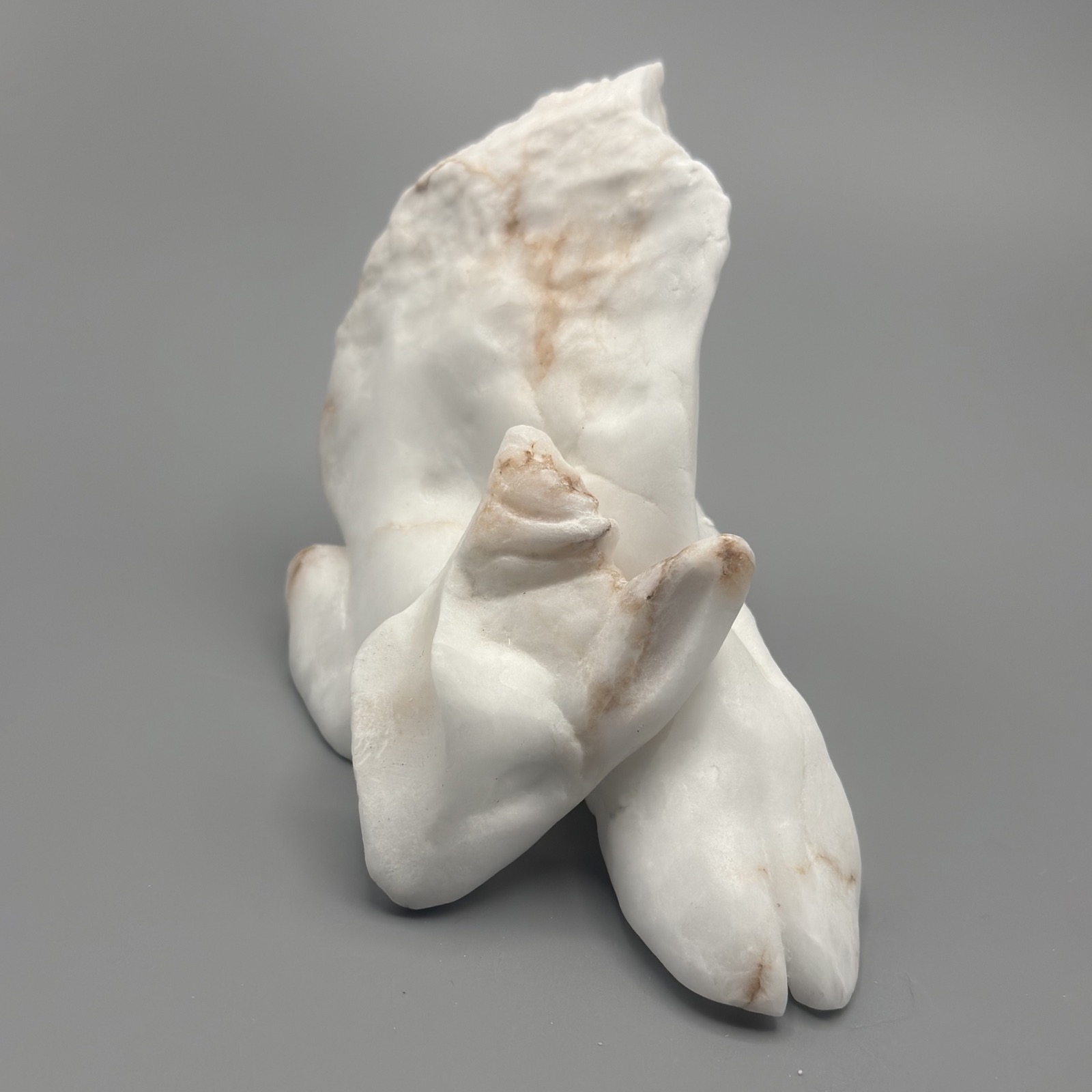Lamb — another view