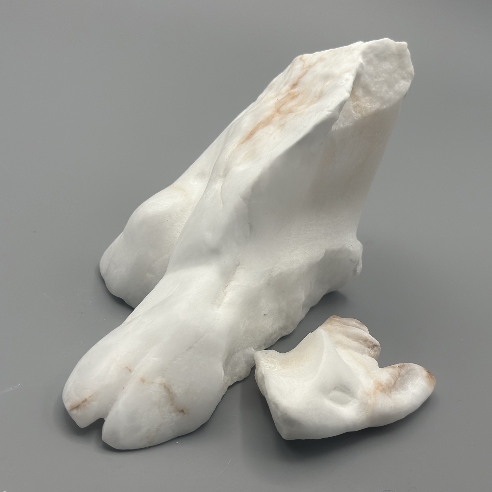 Lamb — another view
