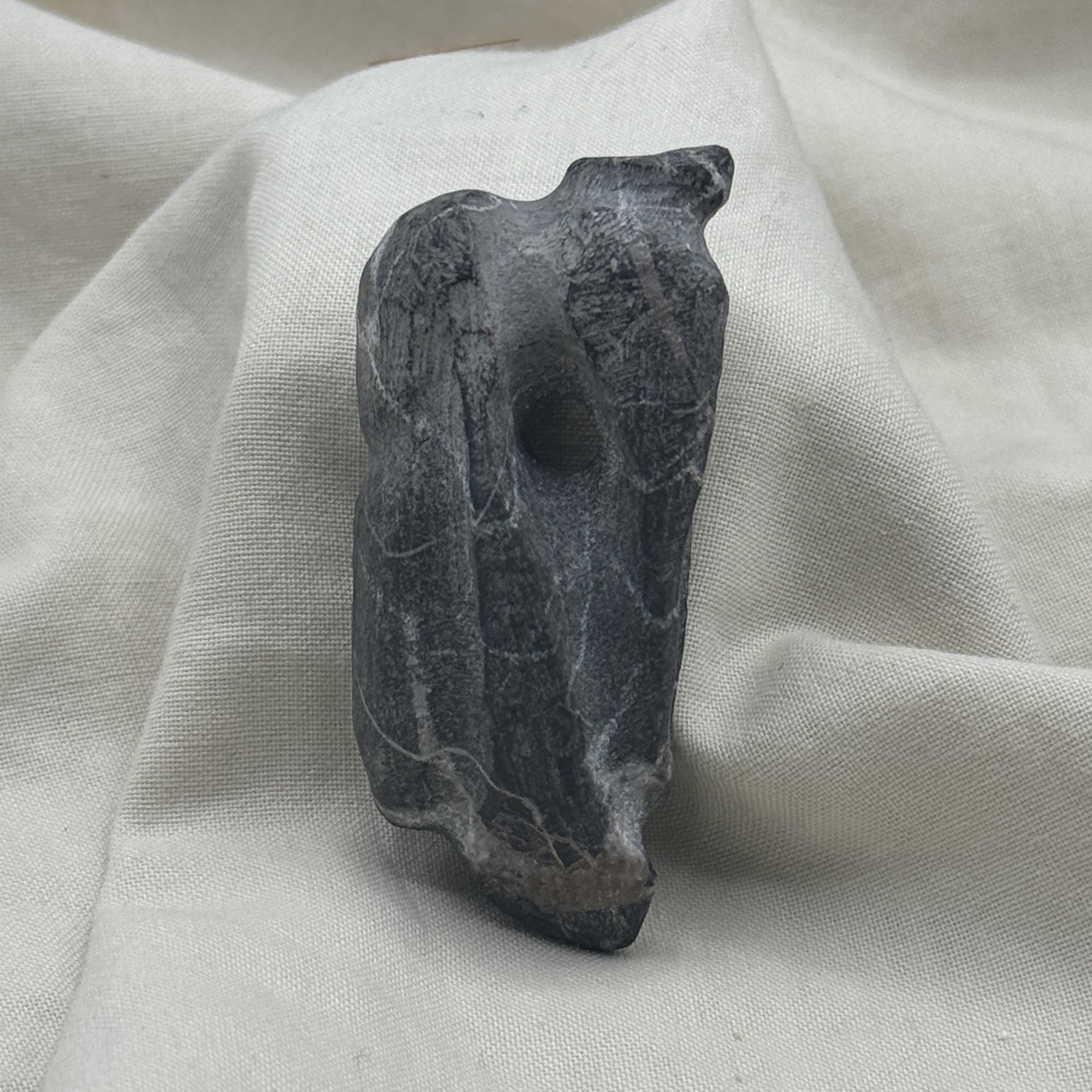 Serpent Charm