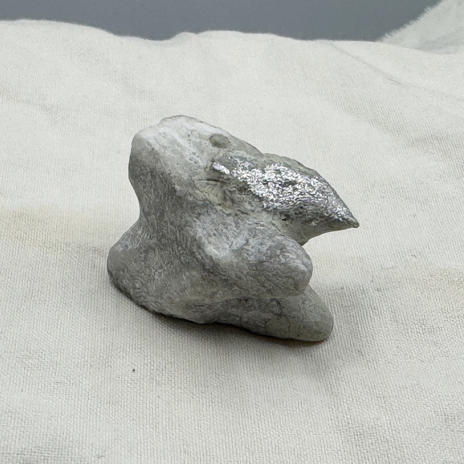Tooth — another view
