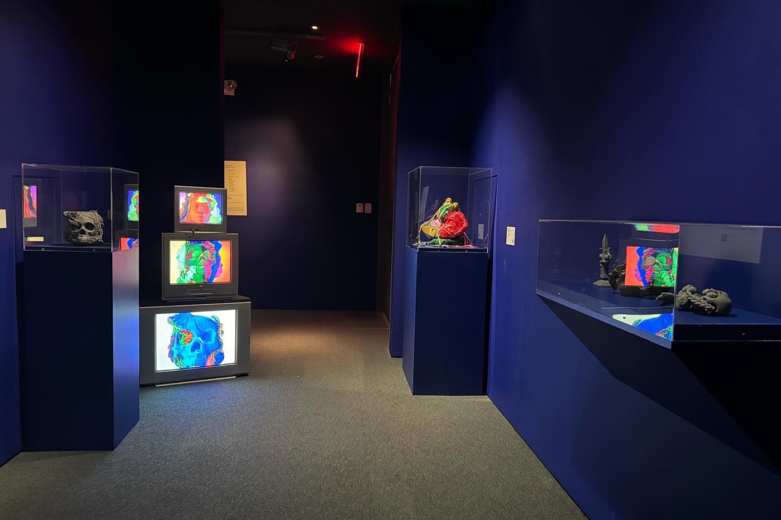 Installation view, My Veins Are The Wires, My Body Is Your Keyboard