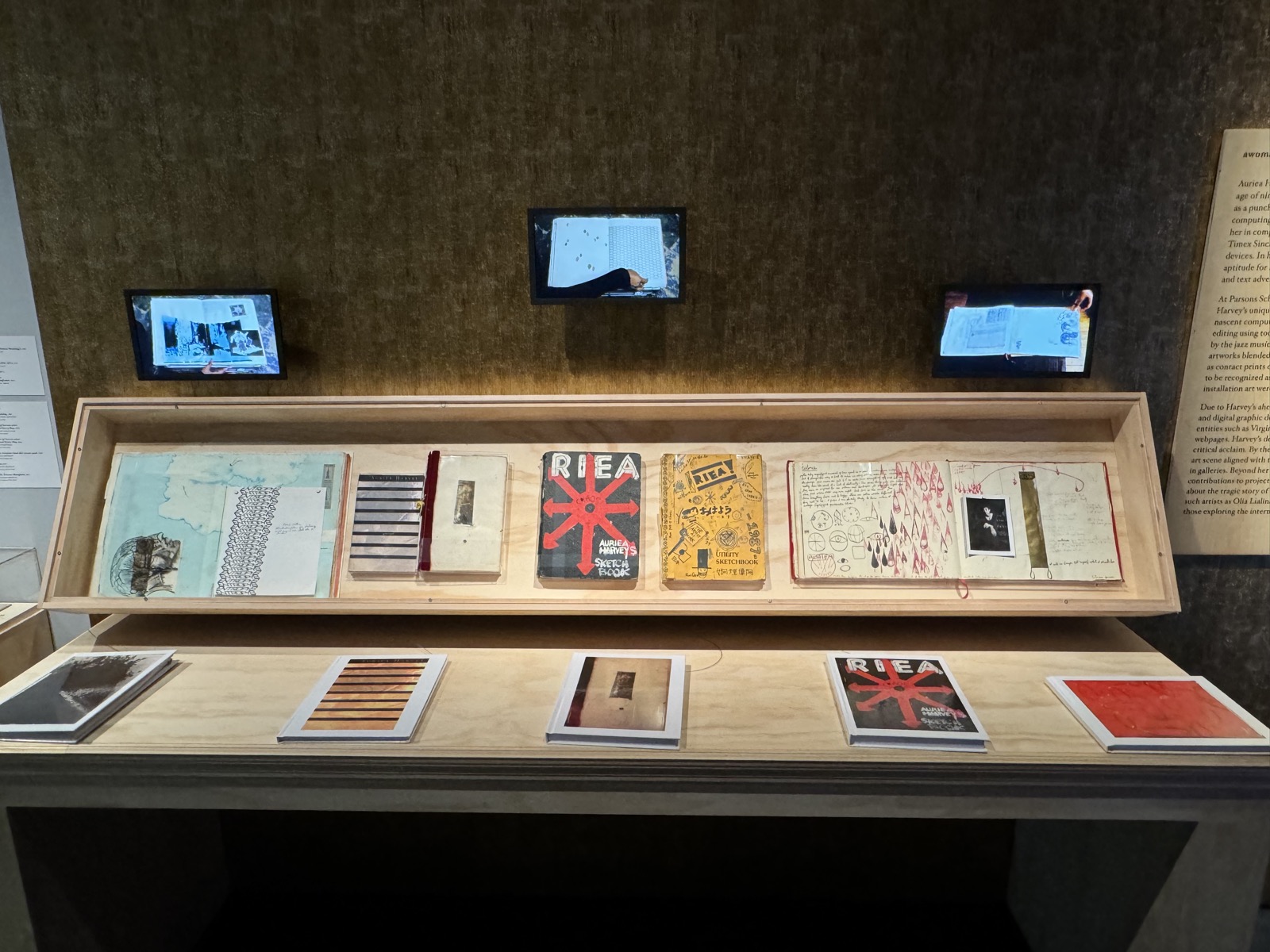 Installation view, My Veins Are The Wires, My Body Is Your Keyboard