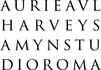 Auriea Harvey Studio Roma