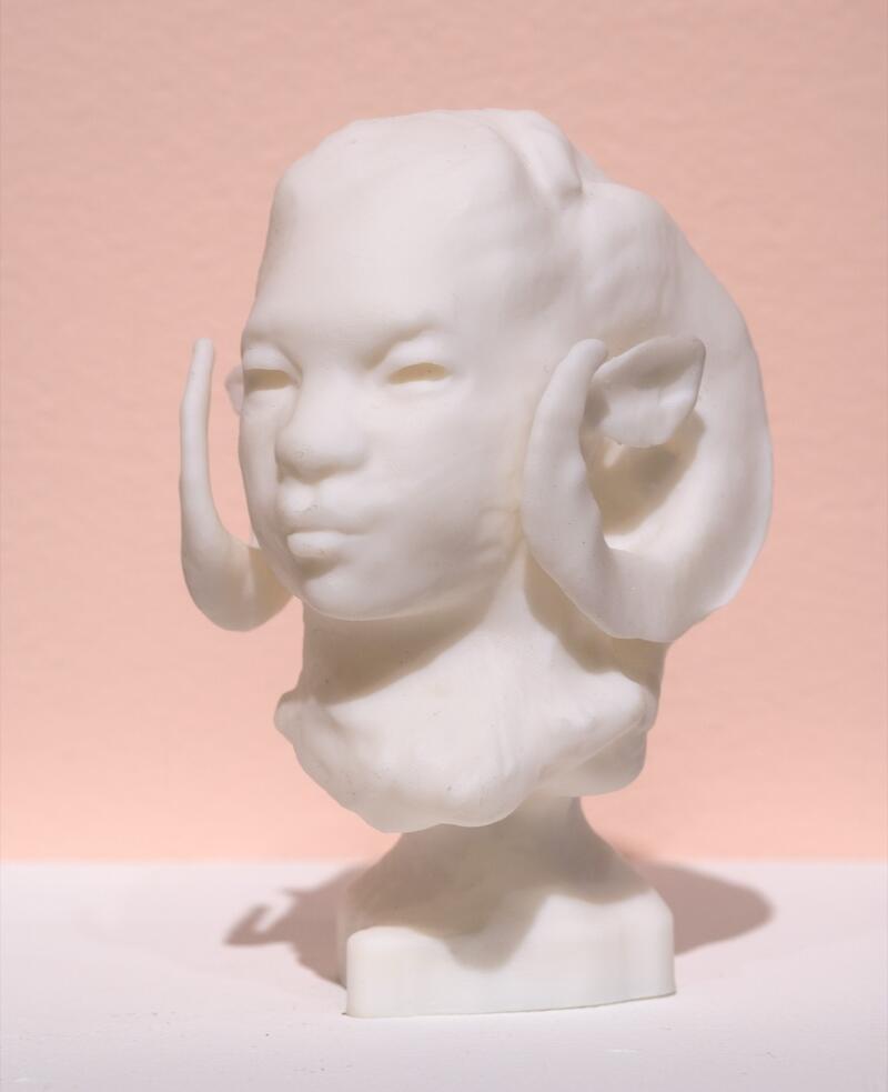 Ram (study)