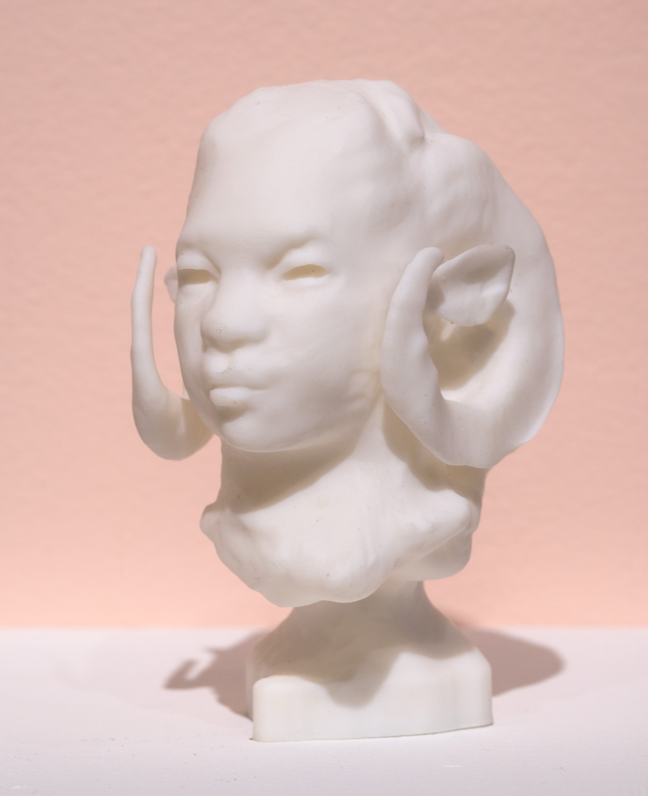 Ram (study)
