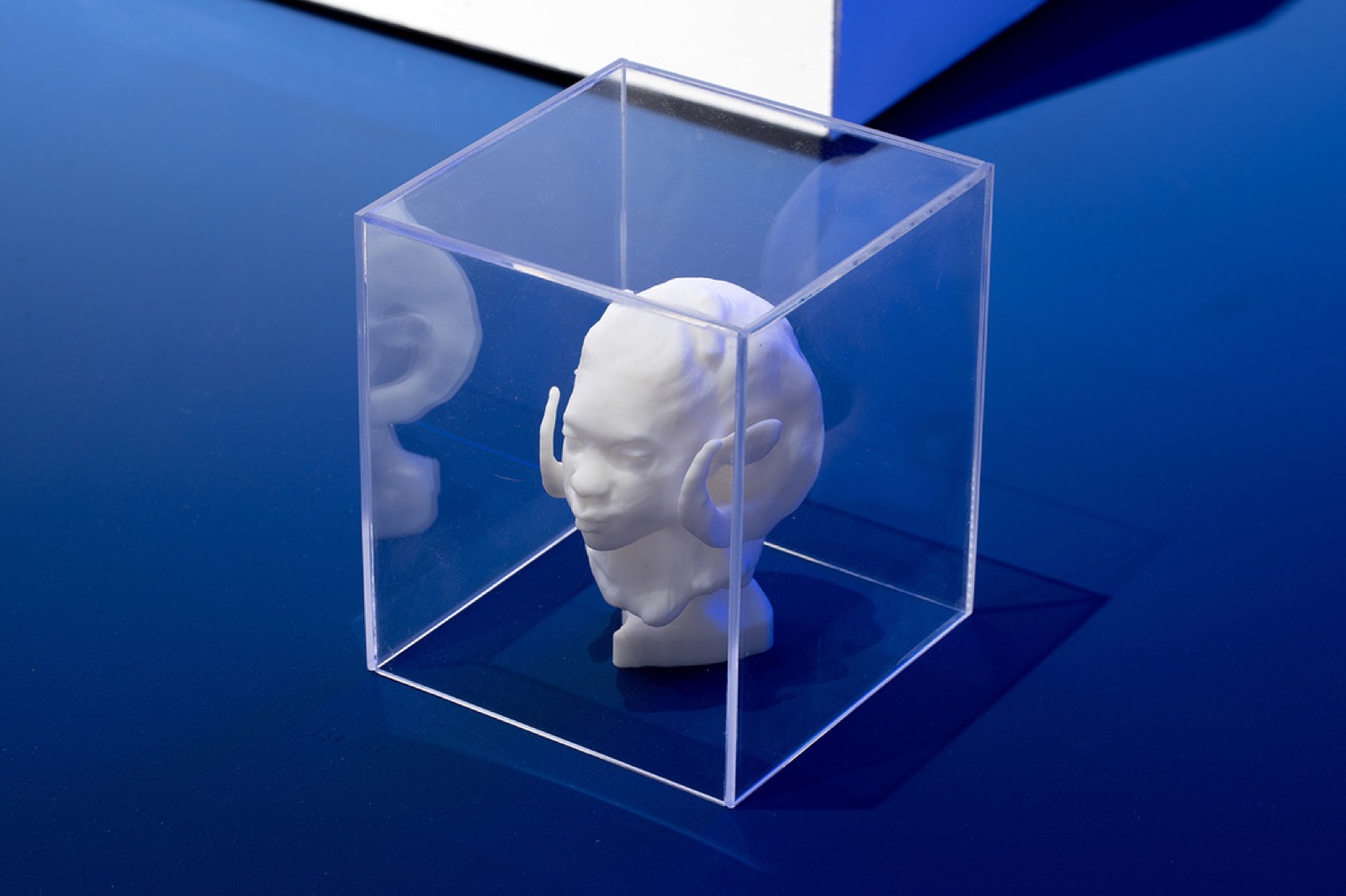 Ram (study) — another view