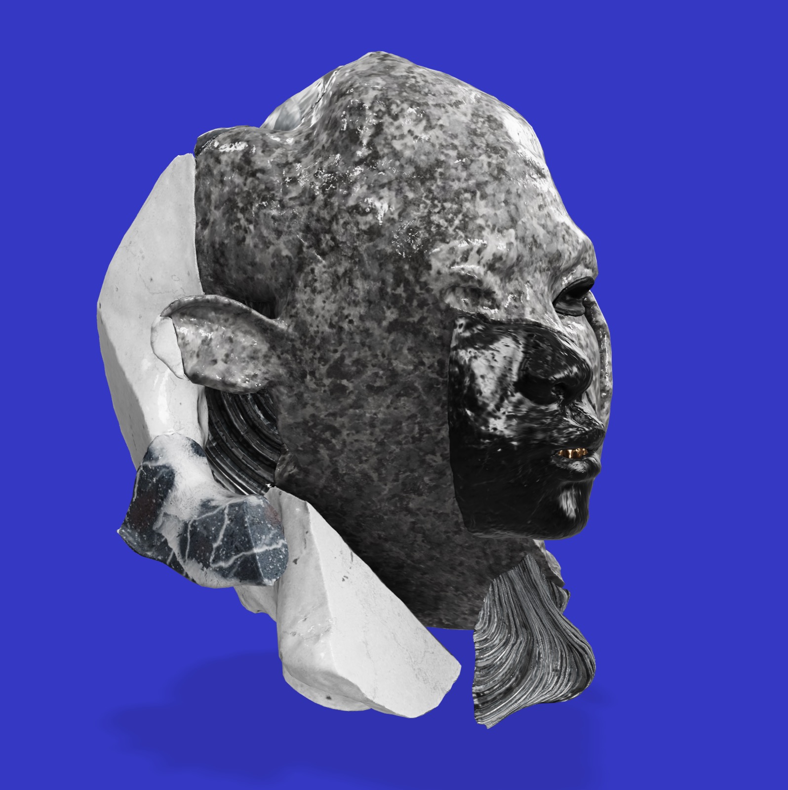 Ram v1-dv1