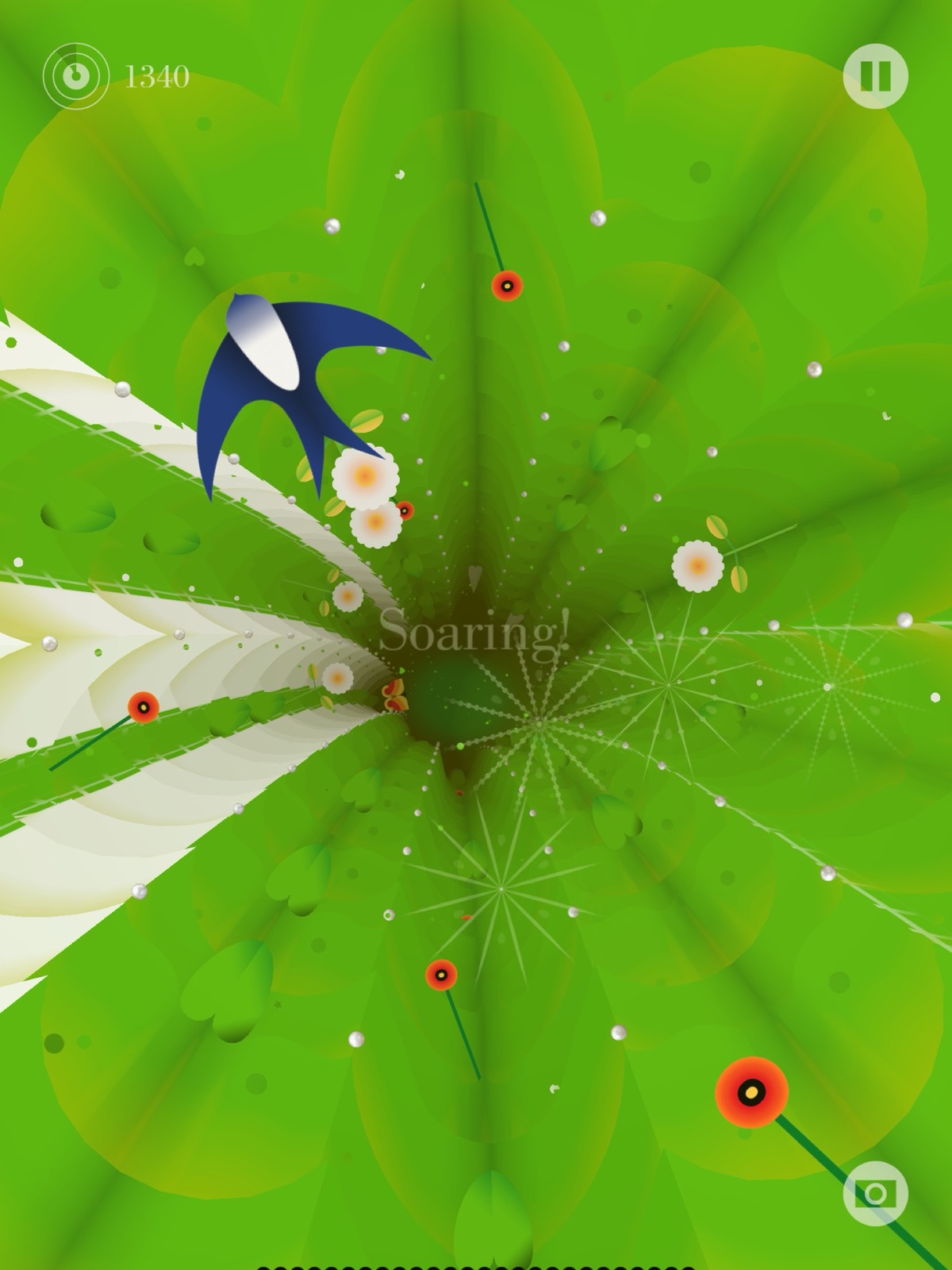 Luxuria Superbia — another view