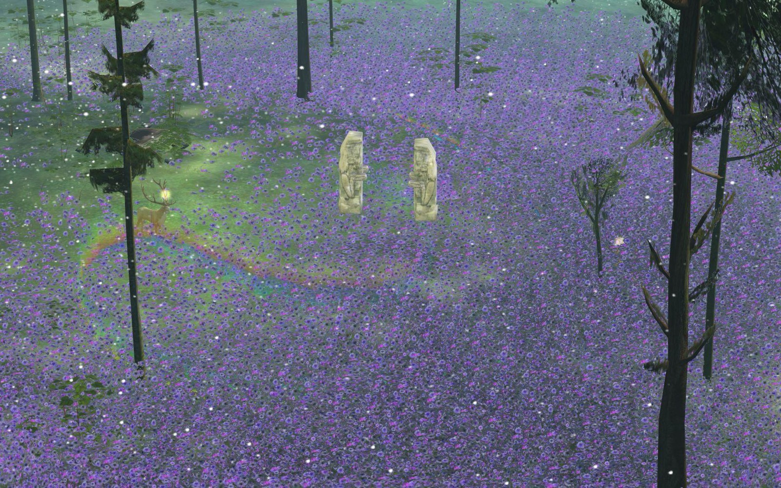 The Endless Forest