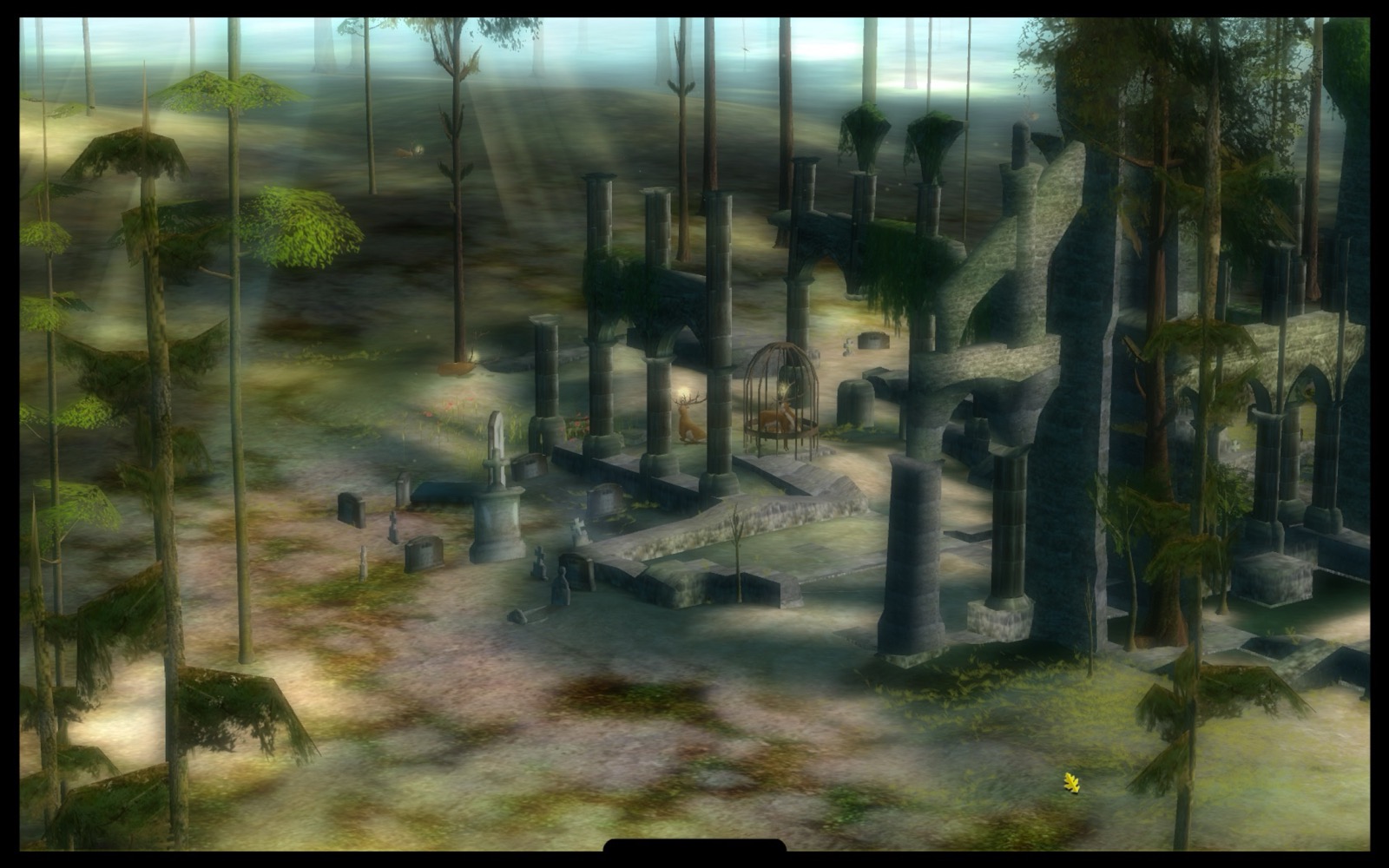The Endless Forest — another view