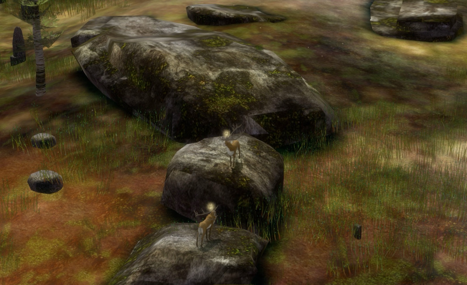 The Endless Forest — another view