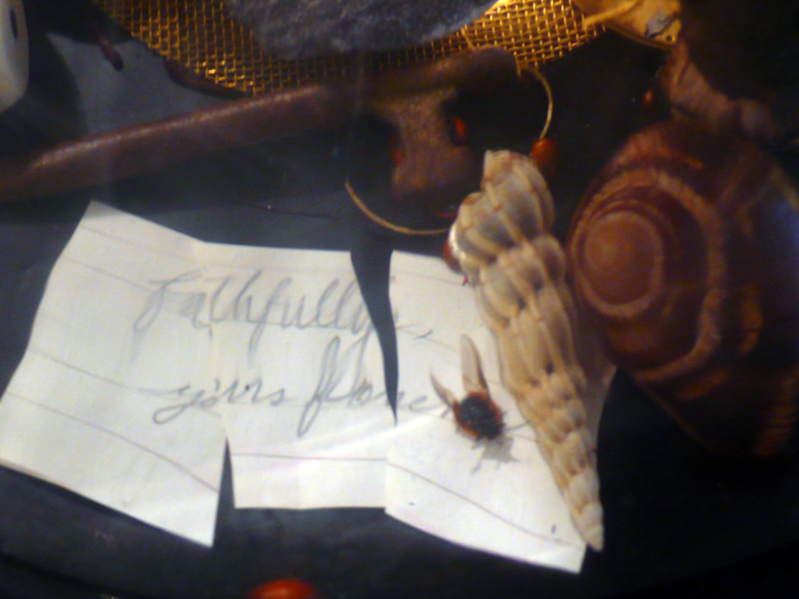 Vanitas — another view